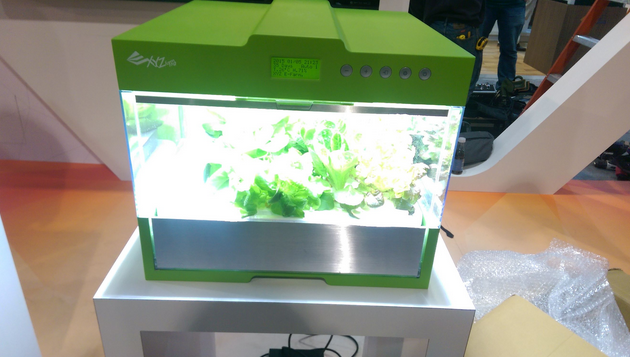 Technology Expands in Nature with Smart Gardens