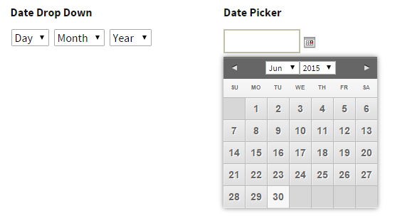 Gravity Forms: How to Restrict a DatePicker Date Range